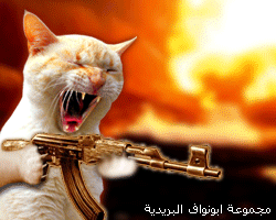 lcat lamkhdar